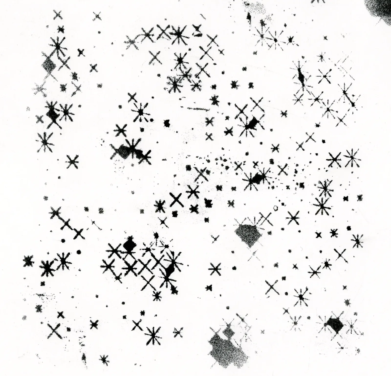 SVG Generator